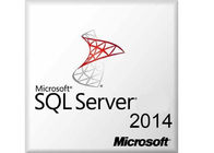 Microsoft Windows SQL Sever 2014 SQL Svr Ed RUNTIME 2014 EMB English OPK DVD Pack Licencja